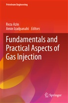 Reza Azin, Izadpanahi, Amin Izadpanahi - Fundamentals and Practical Aspects of Gas Injection