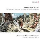 Engelbert Humperdinck - Hänsel und Gretel, 1 Audio-CD (Hörbuch)