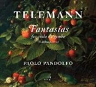 Georg Philipp Telemann - Gambenfantasien TWV 40:26-37, 2 Audio-CDs (Audio book)