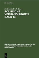 Ferdinand Hirsch - Politische Verhandlungen, Band 13
