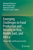 Mirza Barjees Baig, Mohamed Behnassi, Mahjoub El Haiba, Mahjoub El Haiba et al, Michael R. Reed - Emerging Challenges to Food Production and Security in Asia, Middle East, and Africa