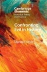 Daniel Little, Little Daniel - Confronting Evil in History