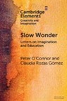 Claudia Rozas Gómez, Peter O'Connor, Peter (University of Auckland) Gomez O''connor - Slow Wonder