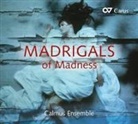 Madrigals of Madness, 1 Audio-CD (Audiolibro)
