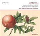Bach, Johann Christian Bach, BUXTEHUDE, Dietrich Buxtehude, Johann Rosenmüller, Rosenmüller u a - Lied der Liebe, 1 Audio-CD (Hörbuch)