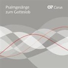 Psalmgesänge zum Gotteslob, 1 Audio-CD (Hörbuch)