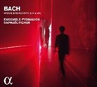 Johann Sebastian Bach, Johann Kuhnau - Missae Breves BWV 234 & 235 / Motette Der Gerechte kommt, 1 Audio-CD (Hörbuch)