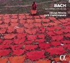 Johann Sebastian Bach - Goldberg-Variationen BWV 988 /14 Kanons BWV 1087, 2 Audio-CDs (Audiolibro)
