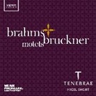 Johannes Brahms, Anton Bruckner - Motteten, 1 Audio-CD (Audio book)