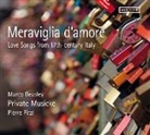 Marco Beasley, Pierre Pitzl, Private Musicke - Meraviglia d'amore, 1 Audio-CD (Audio book)
