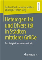 Christopher Horne, Barbara Pusch, Susanne Spieker - Heterogenität und Diversität in Städten mittlerer Größe
