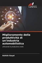 Ashish Goyal, Mulugu Sasi Kiran - Miglioramento della produttività di un'industria automobilistica