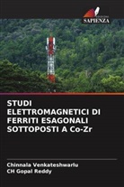 Ch Gopal Reddy, Chinnala Venkateshwarlu - STUDI ELETTROMAGNETICI DI FERRITI ESAGONALI SOTTOPOSTI A Co-Zr