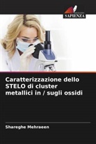 Shareghe Mehraeen - Caratterizzazione dello STELO di cluster metallici in / sugli ossidi