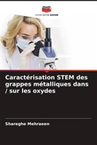 Shareghe Mehraeen - Caractérisation STEM des grappes métalliques dans / sur les oxydes