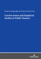 Burçin Bozdo¿ano¿lu, Burçin Bozdoganoglu, Adnan Gercek - Current Issues and Empirical Studies in Public Finance