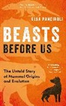 Elsa Panciroli - Beasts Before Us