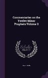 Jean Calvin - Commentaries on the Twelve Minor Prophets Volume 2