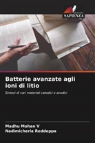Nadimicherla Reddeppa, Madhu Mohan V - Batterie avanzate agli ioni di litio
