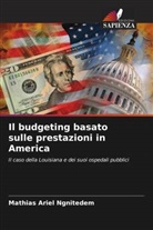 Mathias Ariel Ngnitedem - Il budgeting basato sulle prestazioni in America