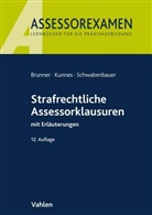 Raimund Brunner, Christian Kunnes, Schwabenbauer, Peter Schwabenbauer - Strafrechtliche Assessorklausuren