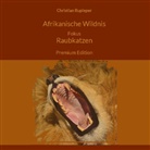 Christian Rupieper - Afrikanische Wildnis Fokus Raubkatzen