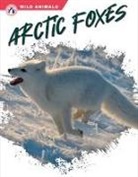 Megan Gendell - Arctic Foxes