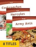 Trudy Becker - Bugs (Set of 8)