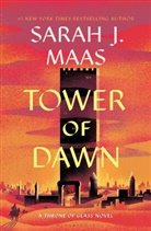 Sarah J Maas, Sarah J. Maas - Tower of Dawn