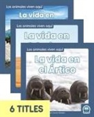 Connor Stratton - Los Animales Viven Aquí (Animals Live Here) (Set of 6)