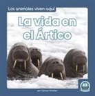 Connor Stratton - La Vida En El Ártico (Life in the Arctic)