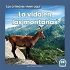 Connor Stratton - La Vida En Las Montañas (Life in the Mountains)