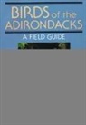 Alan Bessette, William K. Chapman - Birds of the Adirondacks: A Field Guide