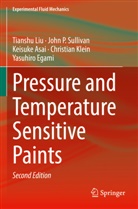 Keisuke Asai, Keisuke et al Asai, Yasuhiro Egami, Christian Klein, Tianshu Liu, John P Sullivan... - Pressure and Temperature Sensitive Paints