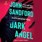 Robert Petkoff, John Sandford - Dark Angel (Audio book)