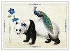 Postkarte. Best Buddies-Edition / Panda & Pfau / Blanko / quer