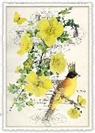 Postkarte / Butterblume / hoch / blanko