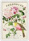 Postkarte / Weiss-rosa Pfingstrosen / hoch / blanko
