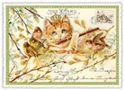 Postkarte / Katze mit Querflöte / quer / blanko