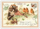 Postkarte / Katze mit Geige / quer / blanko