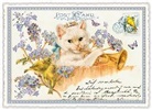 Postkarte / Katze mit Trompete / quer / blanko