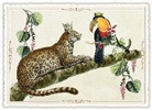 Postkarte. Best Buddies-Edition / Leopard & Tukan / quer / blanko