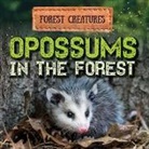 Sophie Washburne - Opossums in the Forest
