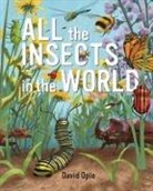 David Opie, David Opie - All the Insects in the World