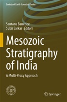 Santanu Banerjee, Sarkar, Subir Sarkar - Mesozoic Stratigraphy of India