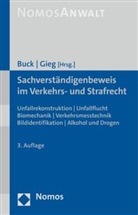 Jochen Buck, Gieg, Georg Gieg - Sachverständigenbeweis im Verkehrs- und Strafrecht