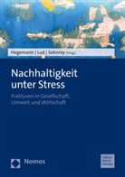 Klaus Hegemann, Daniela Lud, Felix Sohnrey - Nachhaltigkeit unter Stress