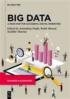 Rohit Bansal, Sandhir Sharma, Amandeep Singh - Big Data