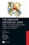Niels Hammer, Niels Hammer, Hammer Niels - Obscure Sacroiliac Joint