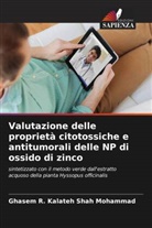 Ghasem R. Kalateh Shah Mohammad - Valutazione delle proprietà citotossiche e antitumorali delle NP di ossido di zinco